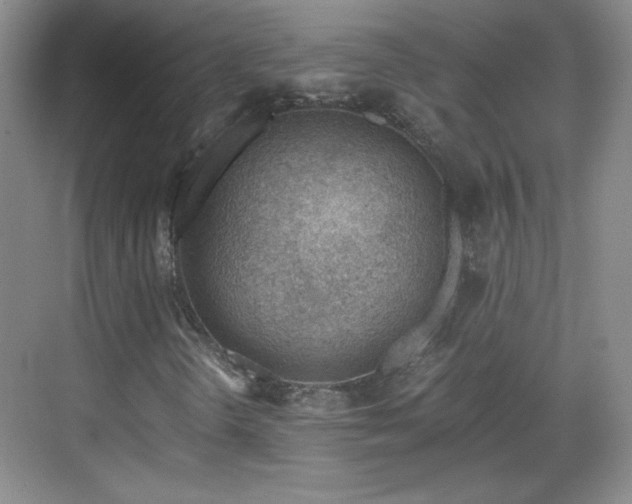 X0000068831298200605081203