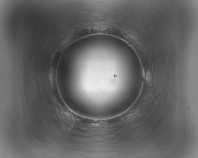 X0000068831299200605081203