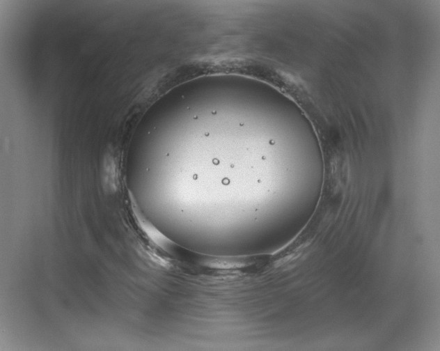 X0000068831300200605081203