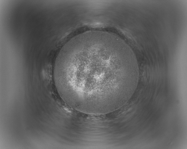 X0000068831301200605081203