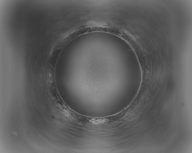 X0000068831303200605081203