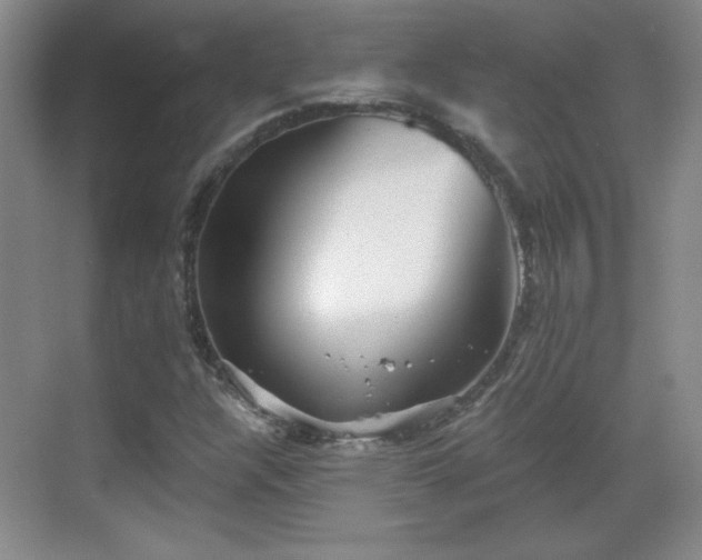 X0000068831304200605081203