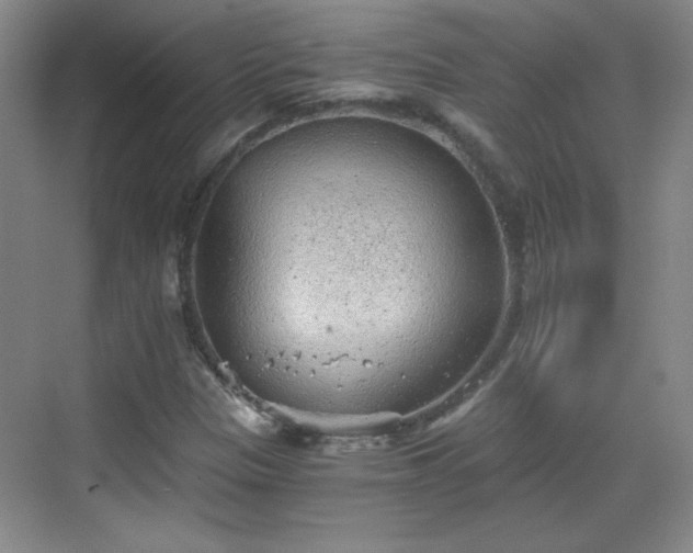 X0000068831305200605081203