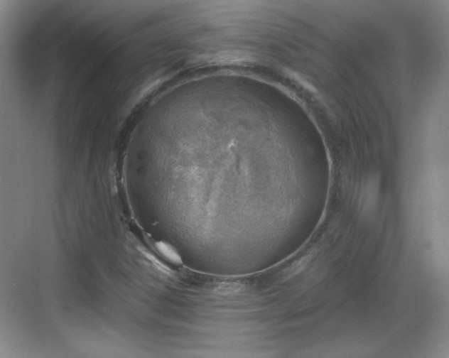 X0000068831306200605081203