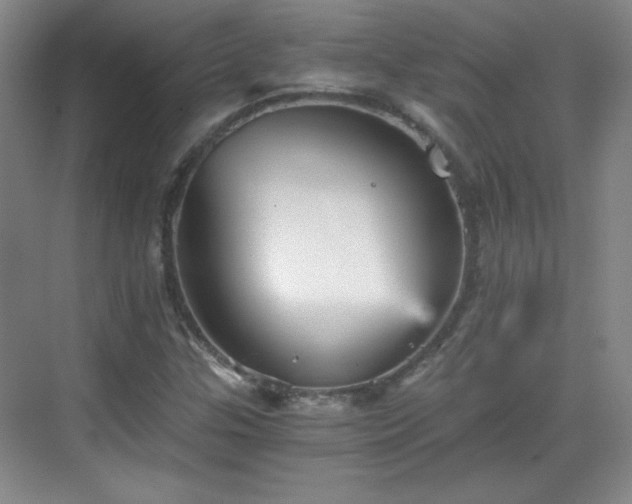 X0000068831307200605081203