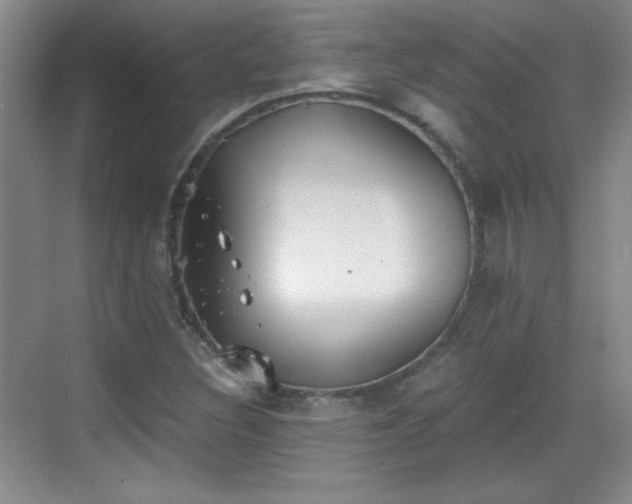 X0000068831308200605081203