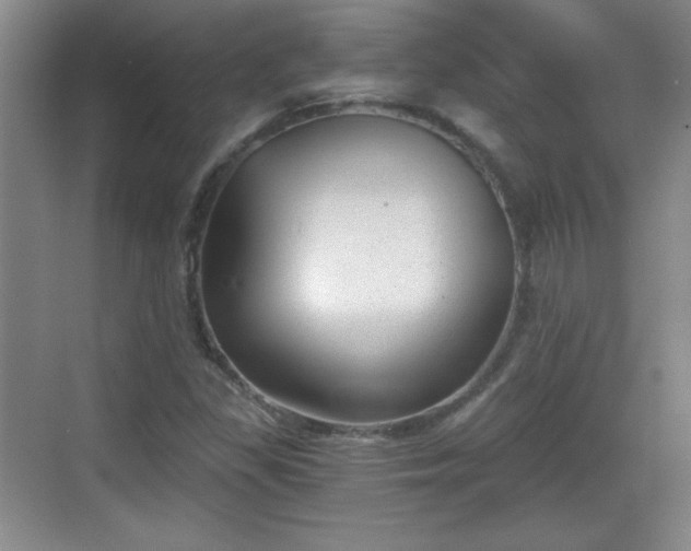 X0000068831309200605081203