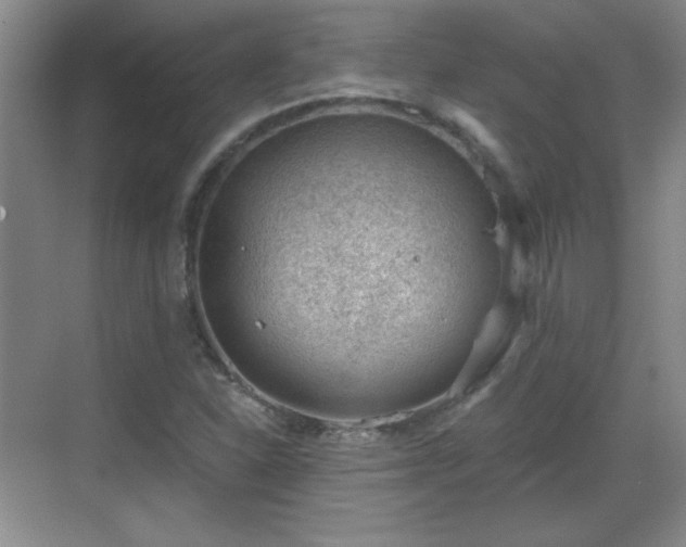 X0000068831310200605081203