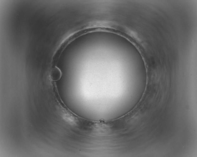 X0000068831312200605081203