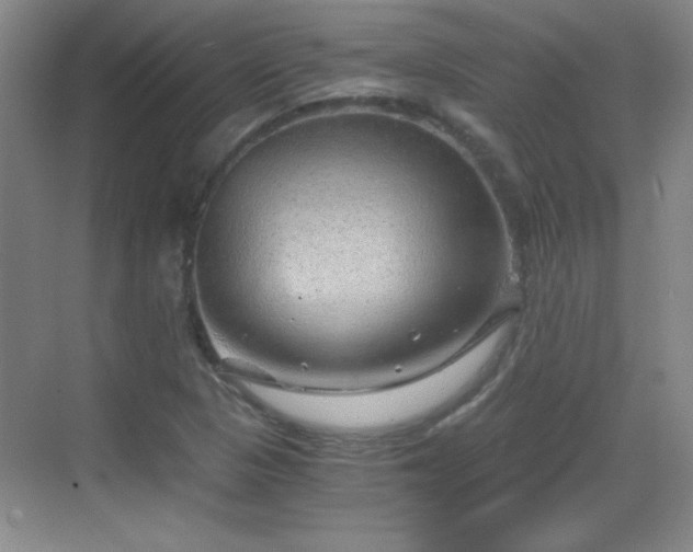 X0000068831313200605081203