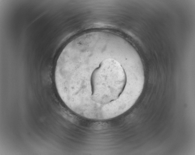 X0000068831314200605081203