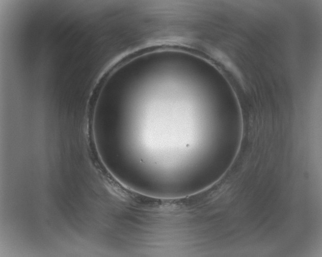 X0000068831316200605081203