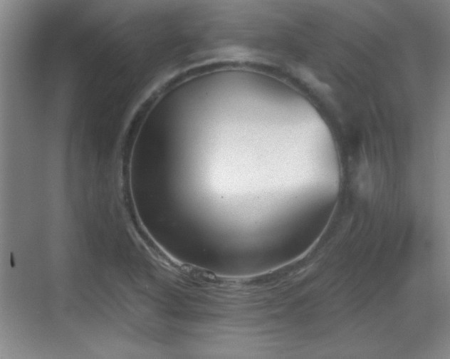 X0000068831318200605081203