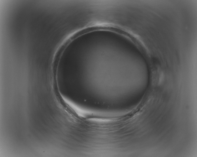 X0000068831319200605081203