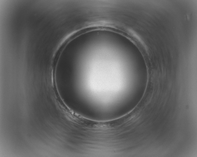 X0000068831320200605081203