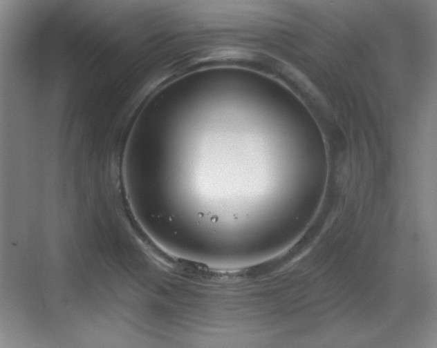 X0000068831321200605081203