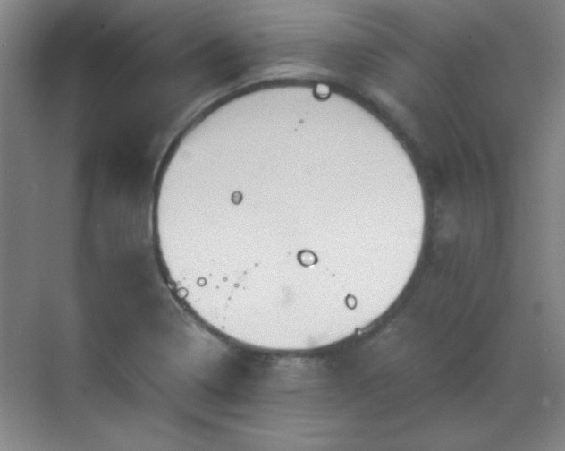 X0000068831322200605081203