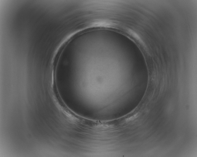 X0000068831323200605081203