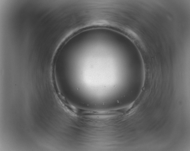 X0000068831326200605081203