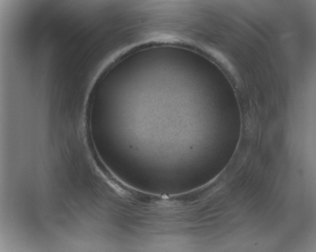 X0000068831327200605081203