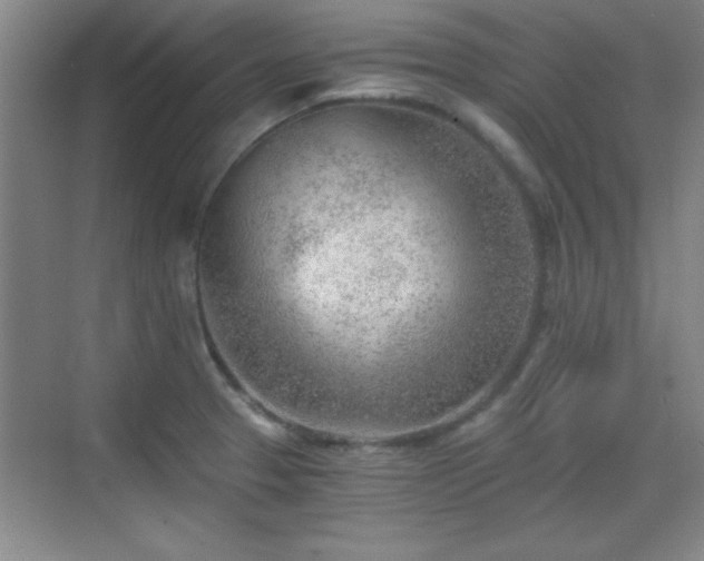 X0000068831329200605081203