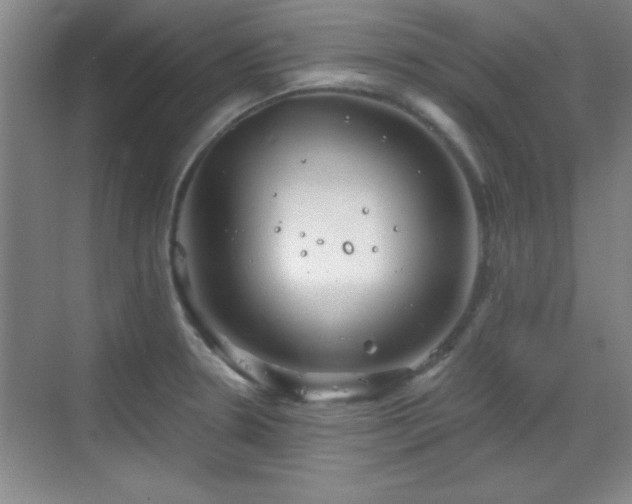 X0000068831330200605081203