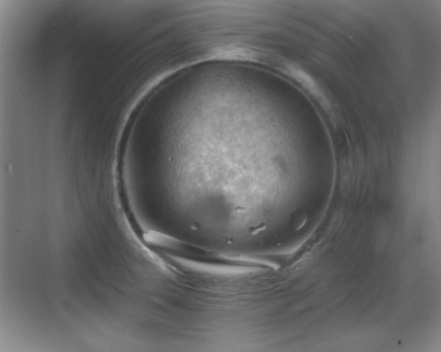 X0000068831331200605081203