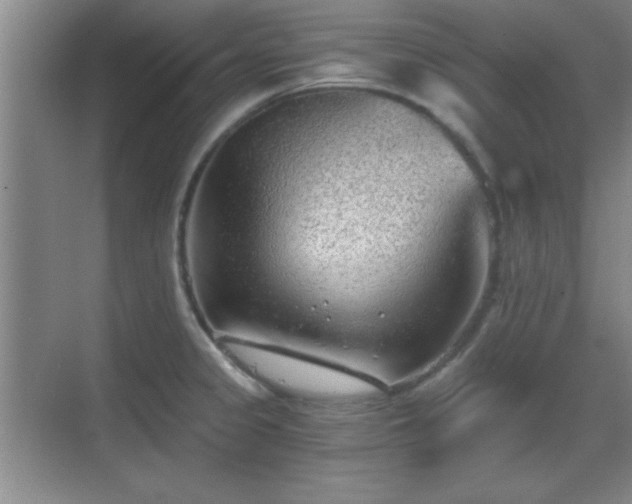 X0000068831333200605081203