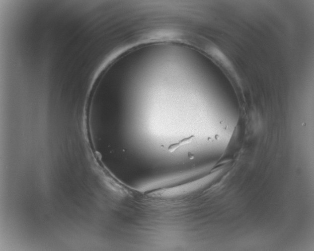 X0000068831336200605081203