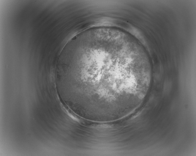 X0000068831337200605081203