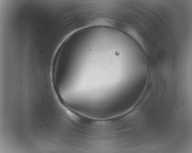 X0000068831339200605081203