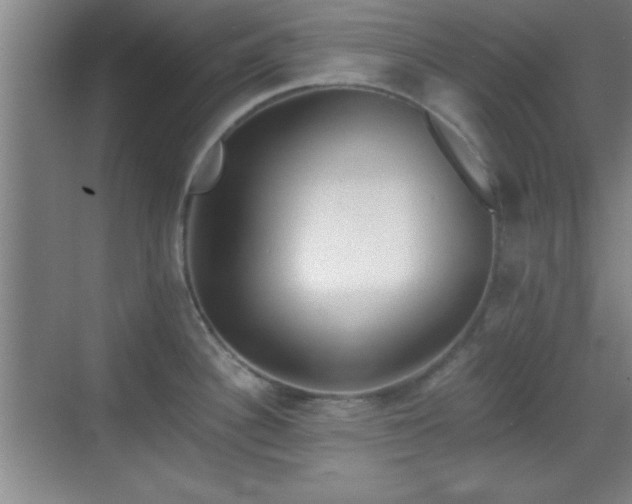 X0000068831340200605081203