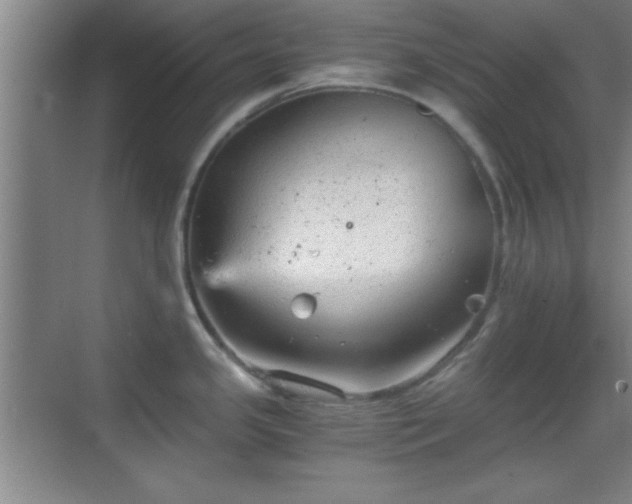 X0000068831341200605081203