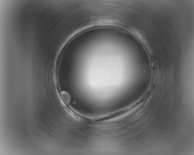 X0000068831342200605081203