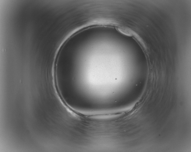 X0000068831343200605081203