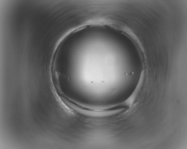 X0000068831344200605081203