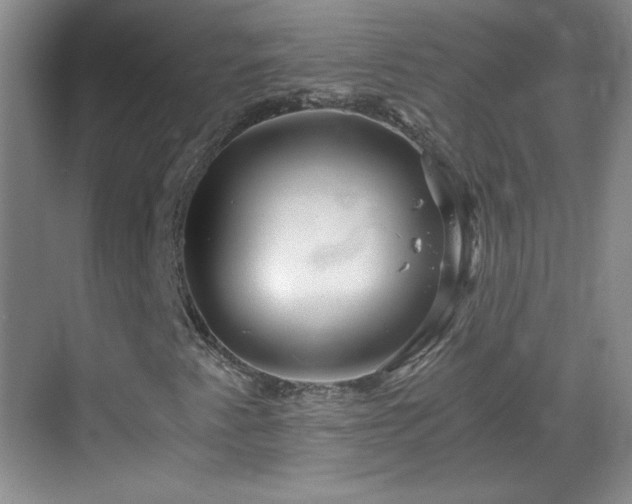 X0000068831345200605081203