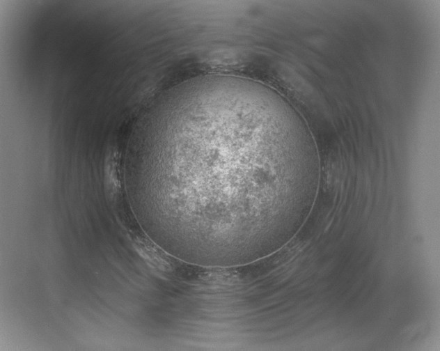 X0000068831346200605081203