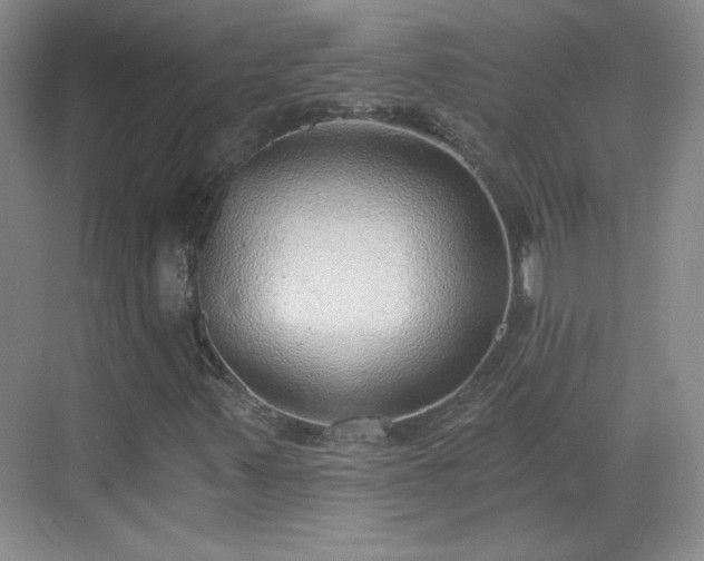 X0000068831347200605081203