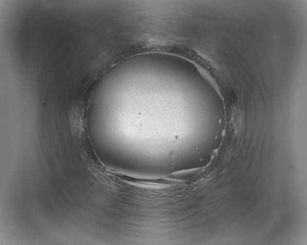 X0000068831348200605081203