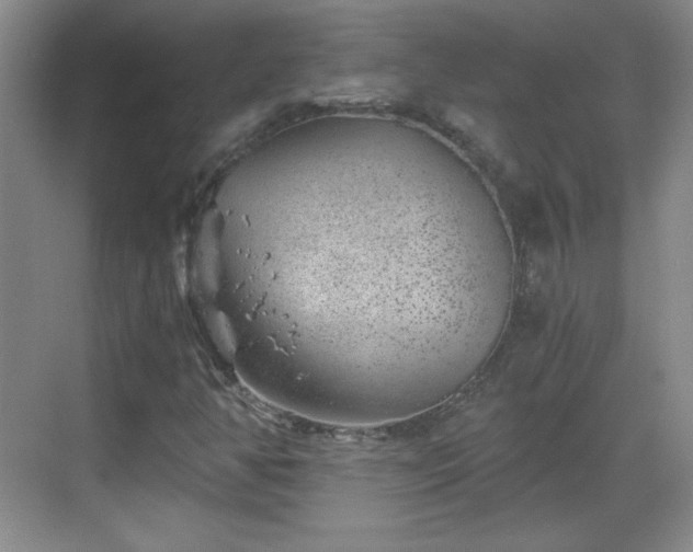 X0000068831350200605081202