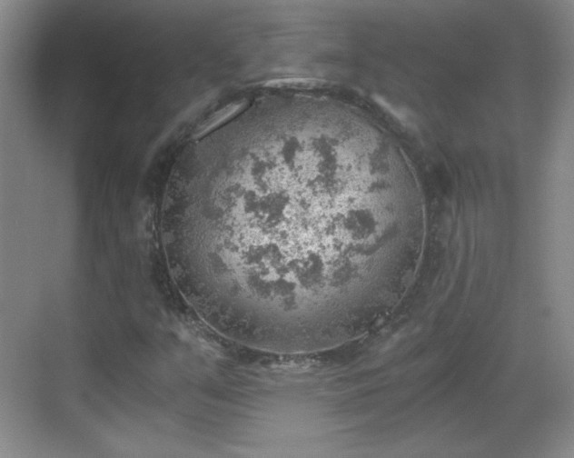 X0000068831351200605081202