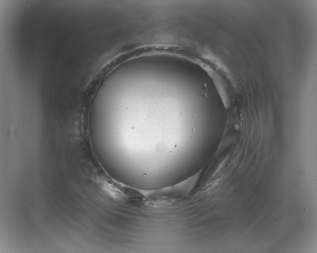 X0000068831352200605081202