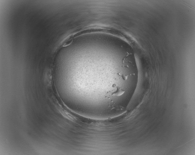 X0000068831355200605081202