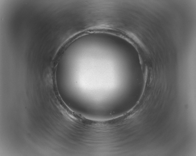 X0000068831356200605081202