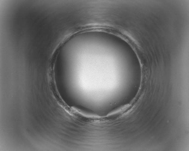 X0000068831357200605081202