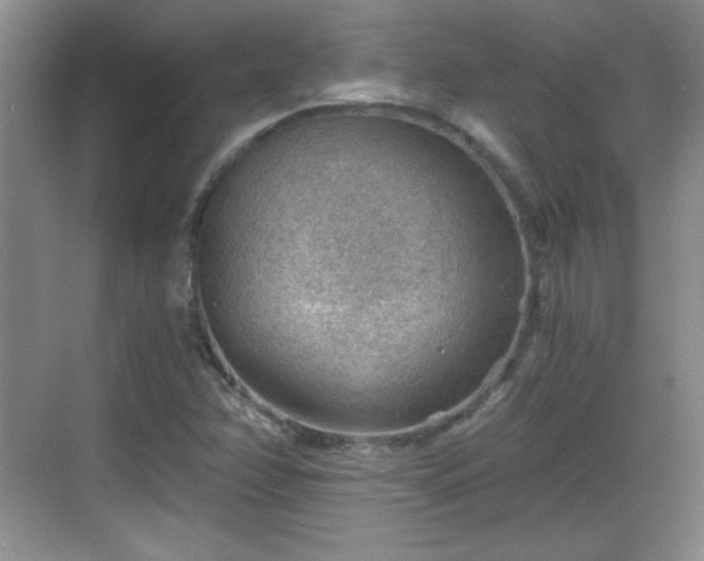 X0000068831358200605081202