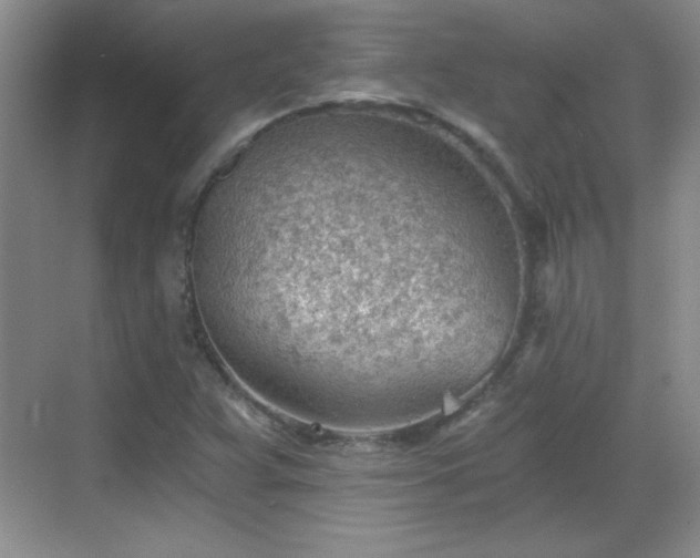 X0000068831359200605081202