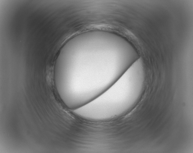 X0000068831361200605081202