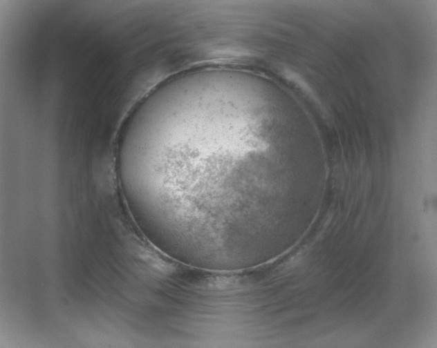 X0000068831362200605081202